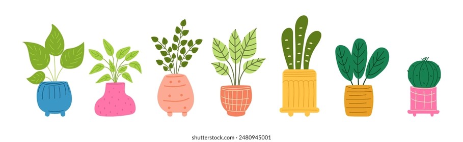 Set of house plants in doodle style. Indoor plants in different pots. Home jungle. Great for banners, posters, stickers, professional designs.