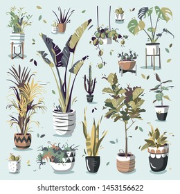 Set of house plants doodles for graphic design or interior design use; including typical indoor vegetation in stylish pots