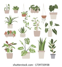 Set with house plants in flower pots. Urban jungle, home gardening. Hand drawn vector illustration in flat cartoon style. Perfect for poster, sticker, print, card