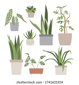 Set with house plants in flower pots. Urban jungle, home gardening. Hand drawn vector illustration in flat cartoon style. Perfect for poster, sticker, print, card