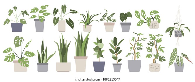 Set with house plants in flower pots. Urban jungle, home gardening. Hand drawn vector illustration in flat cartoon style. Perfect for poster, sticker, print, card