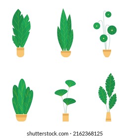 Set house plants and flowers in ceramic pots. Flat style home plants and leaves on white background. Hygge style. Trendy vector botanical elements.