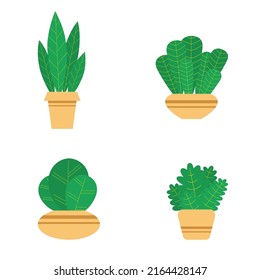 Ponga plantas y flores en macetas de cerámica. Plantas planas y hojas sobre fondo blanco. Estilo hipogloso. Elementos botánicos vectoriales de moda.