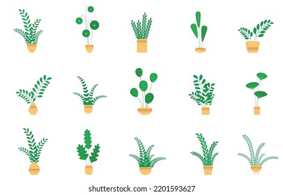 Set house plants and flowers in ceramic pots. Flat style home plants and leaves on white background. Hygge style. Trendy vector botanical elements.