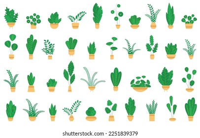 Set house plants and flowers in ceramic pots. Flat style home plants and leaves on white background. Hygge style. Trendy vector botanical elements.