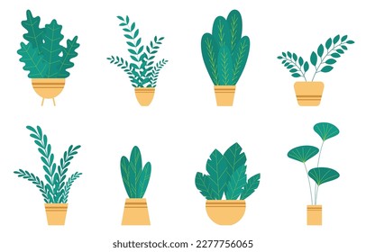 Set house plants and flowers in ceramic pots. Flat style home plants and leaves on white background. Hygge style. Trendy vector botanical elements.