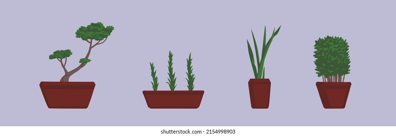 Montaje de plantas y flores en macetas. Ilustración vectorial de estilo plano. Interior en casa. Aislado
