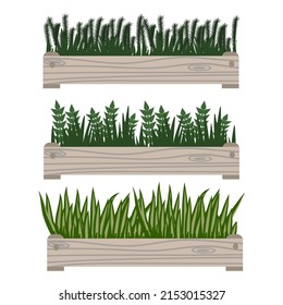 Set of house plants and grass in wooden boxes. Vector illustration.