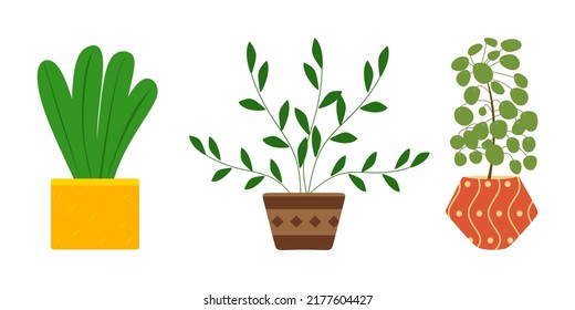 Conjunto de plantas de la casa, creciendo en ollas. Hogares de hoja verde cultivando en maceta de flores. Bonitas decoraciones caseras aisladas de fondo blanco. Dibujo vectorial plano de dibujos animados.