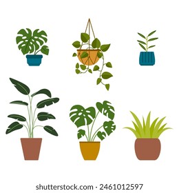 A set of house plants, hanging and for desk, urban jungle, potted plant vector illustration.