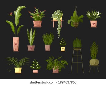Set house plants and home flowers in pots and macrame hanger on dark background. Flat style vector.  Hygge cozy interior style