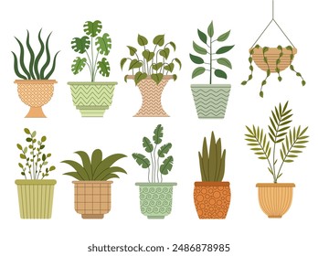 Set of house plants. Indoor flowers in pots. Vector illustration on a white background.