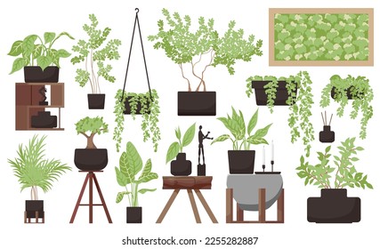 Set of house plants isolated on white background. Potted houseplant for interior design. Big collection of green floral decoration of succulent, bonsai tree, dracaena and geranium. Vector illustration