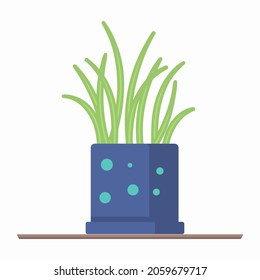 Set of house plants on shelves. Garden flower pot and green home interior. Great for flower shop banner, poster, ad. Elements for the design of the interior of the house, room or office. Vector.