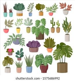 Set of house plants on a white background. Vector Illustration