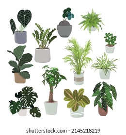 set of house plants on white backgound,vector