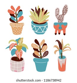 Set of house plants in pink pots. Isolated vector illustration with  with cactus, little palm tree, succulent and rubber plant.
