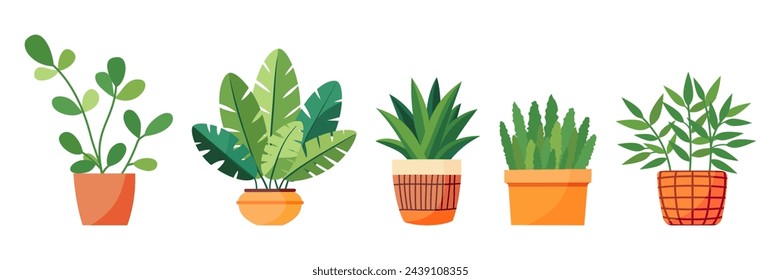 Conjunto de plantas de la casa en una olla. Estilo plano. Planta verde en una maceta de flores para la decoración acogedora de casa, jardín, terraza, balcón, terraza, oficina, sala de estar, patio. Ilustración vectorial.