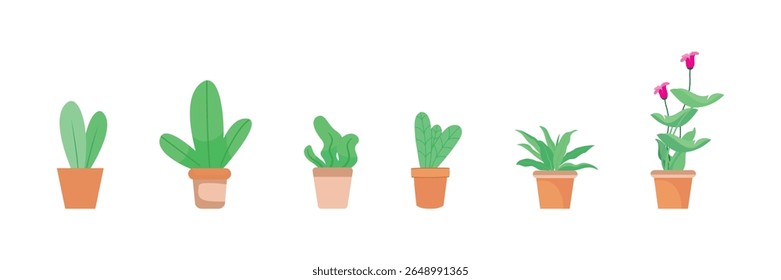 Set of house plants in a pot. Flat style. Green plant in a flower pot for cozy decoration of home, garden, veranda, balcony, terrace, office, living room, patio. Vector illustration.