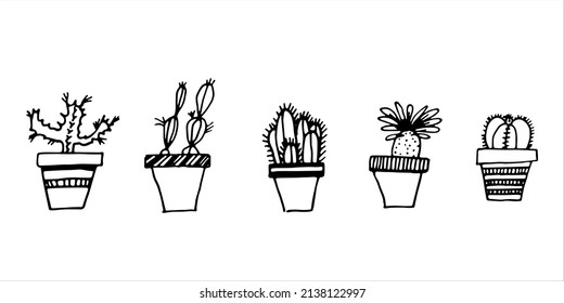 Set of house plants in pots with cactus and succulents. Hand drawn plants vector line art 
