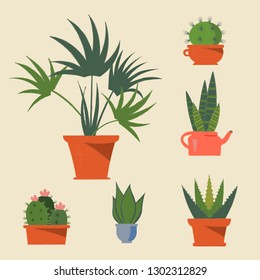 Set of house plants in pots. Collection of beautiful natural home decorations. Flat colorful vector illustration