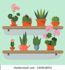 Set of house plants in pots. Collection of beautiful suculents on the shelfs. Flat colorful vector aloe, cacti, geranium