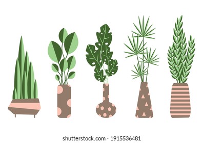 set of house plants in pots, flowerpots, home decor, monstera, succulents, stylized, flat vector graphics for comfort