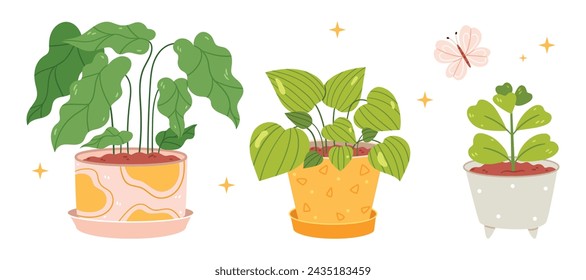 Conjunto de plantas de la casa en macetas en estilo dibujado a mano. Ficus, suculento, pilea, 
