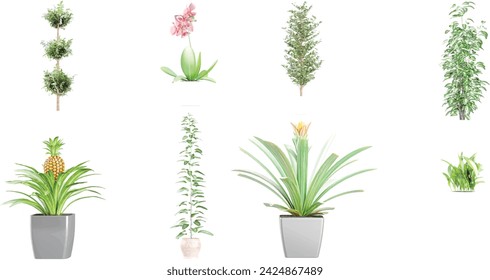 Set of house plants in pots isolated on white background Pro Vector