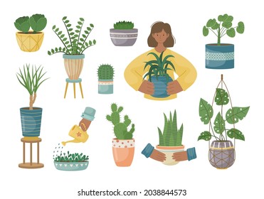 The set of house plants in the pots. Planting plants. Decorative plants in the interior of the house. Flat style.