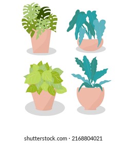 Set with house plants in pots. Urban jungle, home gardening. Hand drawn vector illustration in flat design. Perfect for poster, sticker, print, card