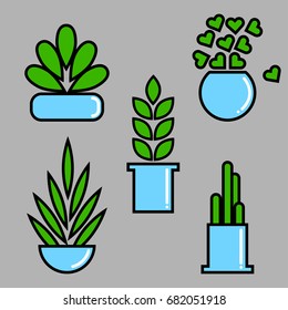 Set of house plants in pots. Vector illustration in flat style