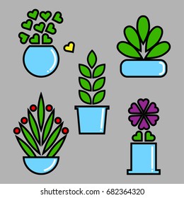 Set of house plants in pots. Vector illustration in flat style