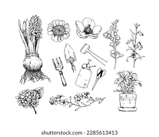 A set of house plants, tools for the garden, flowers. Collection of sketch vector illustrations.