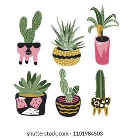 Set of house plants. Vector illustration with cactuses, little palm tree and succulent. 