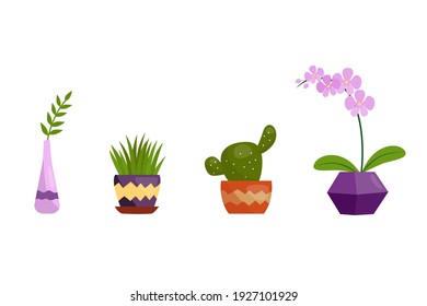 Reihe von Hauspflanzen. Vektorgrafik mit bunter Aloe, Orchidee, Kaktus und Blättern in einer Vase. Innenausstattung in einem einfachen Cartoon-Stil. Dekorative Elemente für Zuhause und Garten