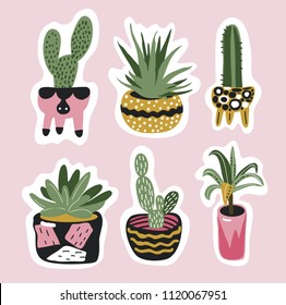 Set of house plants. Vector stickers with cactuses, little palm tree and succulent. Isolated. 