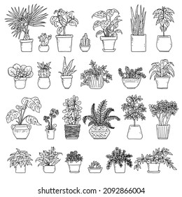 Set house potted plants. Vector indoor black and white houseplant in flower pot outline doodle illustration.