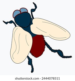 Set of housefly insect vector illustration on white background