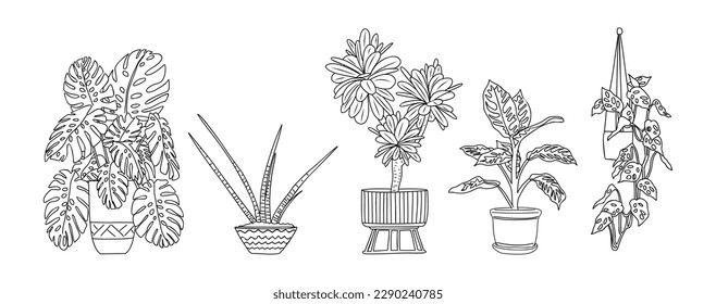 Set of Houseplant outline drawings vector isolated