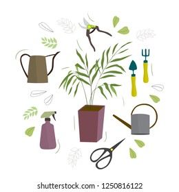 Set of houseplant and plant care tool. Palm tree, watering can, sciissors, pruner, pulverizer.  Cartoon vector illustration in flat style