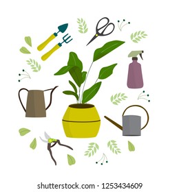 Set of houseplant and plant care tool. Planta,  watering can, sciissors, pruner, pulverizer.  Cartoon vector illustration in flat style