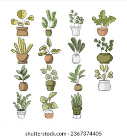 Conjunto de ilustraciones vectoriales de plantas domésticas