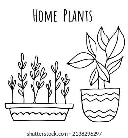 Conjunto de ilustraciones vectoriales de plantas domésticas con diseño de doodle de línea simple