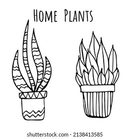 Conjunto de ilustraciones vectoriales de plantas domésticas con diseño de doodle de línea simple