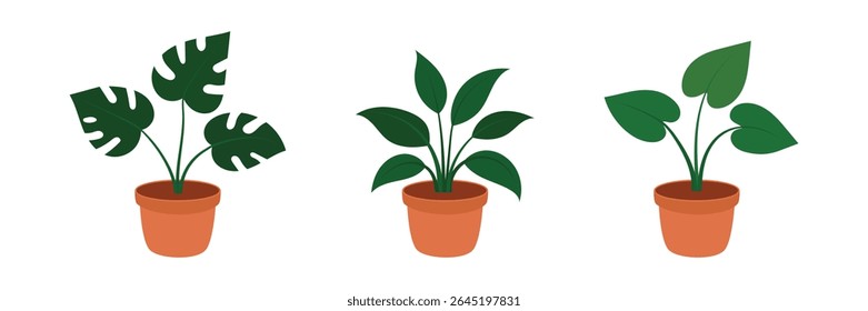  Um conjunto de plantas de casa com grandes folhas verdes em potes de terracota em um fundo branco. Ilustração de monstera, spatifilum e philodendron. Conceitos de jardinagem interior, decoração de casa e cuidados com as plantas.