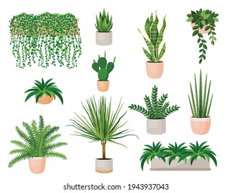 Set of houseplants - cactus, chlorophytum, dracaena,  fern, sansevieria, zamioculcas, succulent, aloe vera. Vector illustration. Trendy home decor and indoors with plants, urban jungle.