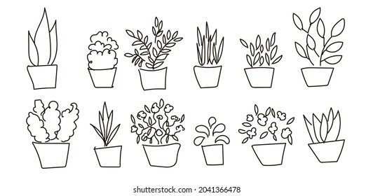 Set of houseplants in doodles pots.