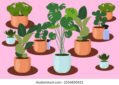 Set of houseplants. Flat vector illustrations.