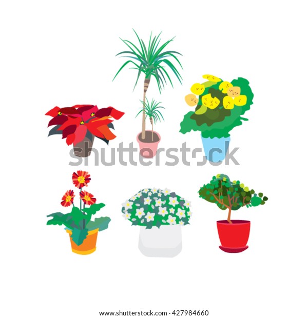 Set Houseplants Flower Pots Vector Illustration 스톡 벡터로열티 프리 427984660 Shutterstock 